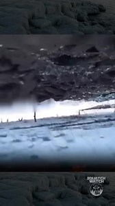 #aliens #UFO Join group watch more: Mysterious Aliens & UFO Disclosure ✔ | Mysterious Aliens And UFO Disclosure