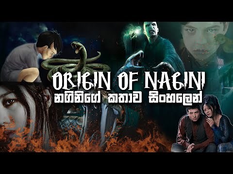 ORIGIN OF NAGINI AND RELATION WITH VOLDEMORT