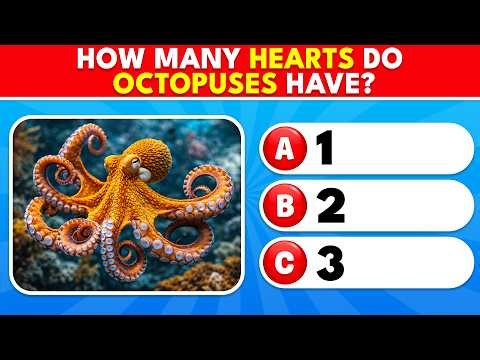 Can You Pass This General Knowledge Quiz? | 50 Questions Challenge | The Quiz Zone