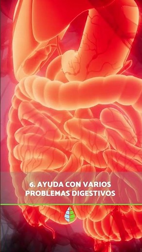 10 BENEFICIOS de la CÚRCUMA para la SALUD 🧡✅