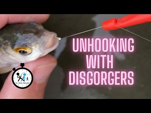 how to use a disgorger