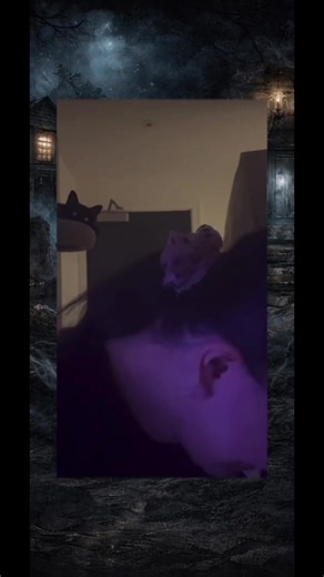 Rehoming a Pet: The Dive into Decisions