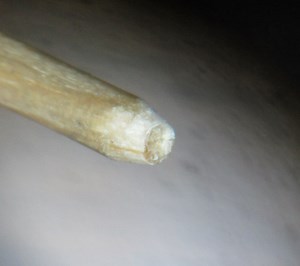 KIF Trior or Novodiac shock springs: meant to be installed once only