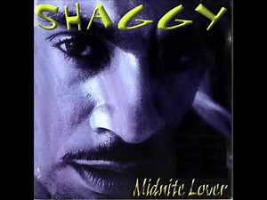 Shaggy - 04 Tender Love