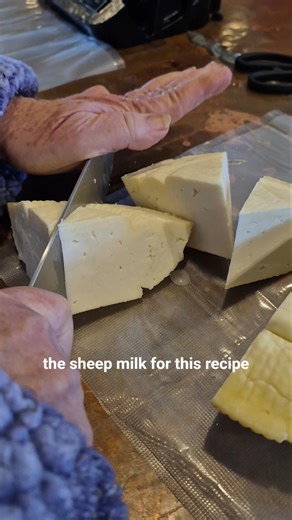 🧀 🐑 Homemade Alpine Tomme Cheese