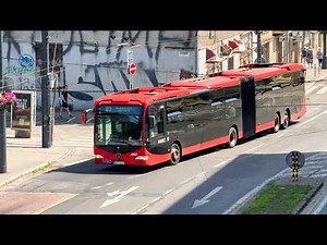 Buses in Bratislava, Slovakia 🇸🇰 | 2025