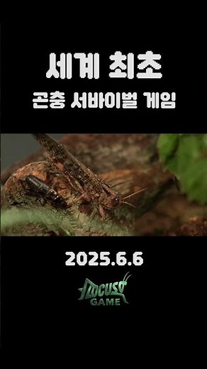 세계 최초 곤충 서바이벌 쇼! 로커스트 게임! #곤충 #사마귀 #insects #mantis #곤충싸움 #곤충서바이벌 #로커스트게임 #locustgame #locust #서바이벌