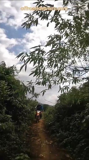 ⚙️ Few Other Journeys Can Match ⚙️ Vietnam Motorbike Tours #vietnam #motorcycle #motorbike #tours