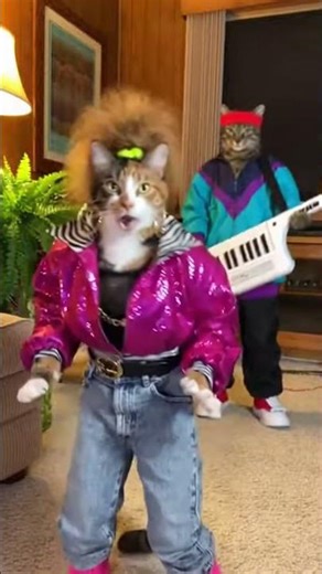 retro cats on a roll 😺🎸