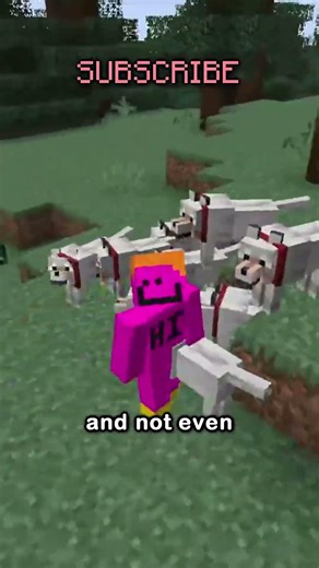 red flags of minecraft players