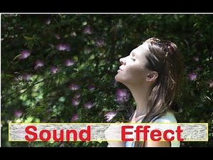woman female inhale exhale sigh breathing Sound Effects All sounds