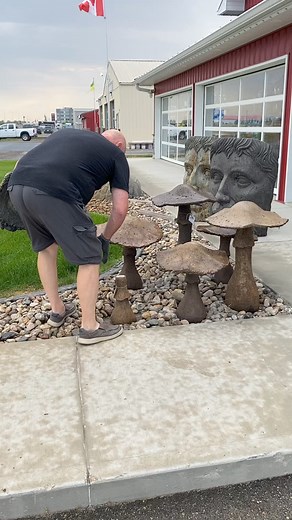 Elevate your outdoor space with our stunning new concrete yard art pieces. From whimsical mushrooms to functional benches, we’ve got something for everyone. Shop now and add some charm to your yard! #concretelove #twbhomedecor #outdoorliving | TWB Home Decor