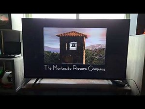Paramount/The Montecito Picture Company/Spyglass Entertainment (2011)