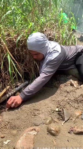 Expert Techniques for Catching Fish and Octopus