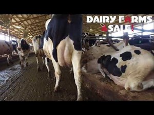 For Sale Dairy Farm with 156 Freestalls Wisconsin - SOLD!!!