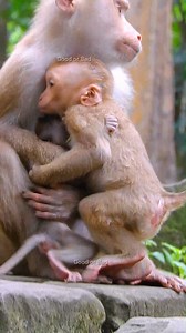 15K views · 765 reactions | Million pity Angela! Hugs Libby but Libby hugs and carry Rainbow only! pity baby! | Good Or Bad | Facebook