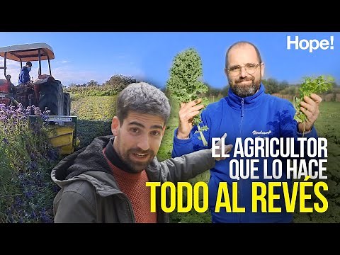 Agricultura regenerativa: ¿el futuro?