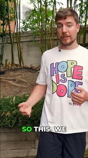 This Dog Shelter Didn't Expect MrBeast's Level of Commitment #mrbeast #rescue #dogs
