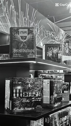 #fire #fireworks #vuurwerk #silvester #fajerwerki #pyro #memes #asmr #viral #culture #fail #edits