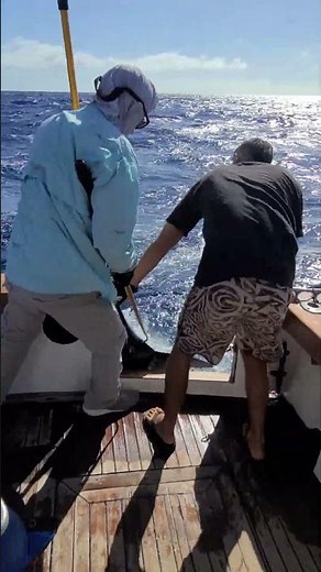 400lb Blue Marlin in 2 MINUTES?! 🤯🎣 #Shorts #fishing #fish