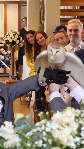Owl Delivers the Wedding Rings – Magical Ring Delivery!