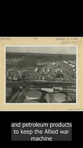 1.4K views · 29 reactions | #DidYouKnow that during World War II, the...