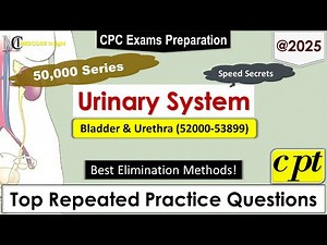 CPT Urinary System Bladder & Urethra (52000-53899)