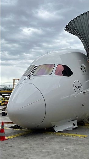 How can a plane collapse while parked?