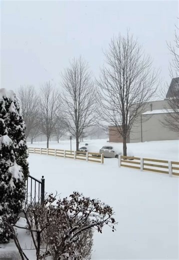 Romanticizing this snow storm because it is the perfect day for these two pups🤍 they love the snow! #toypoodle #snowstorm2026 #fypage #puppytok #EmClimaUltraLeve