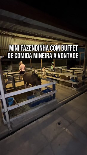 Mini Fazendinha com Buffet de Comida Mineira em Minas Gerais