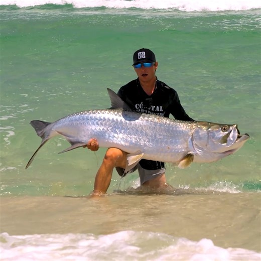 12K views · 65 reactions | Using a DRONE to target Tarpon from the beach! (First day trying) | Coastal WorldWide | Facebook