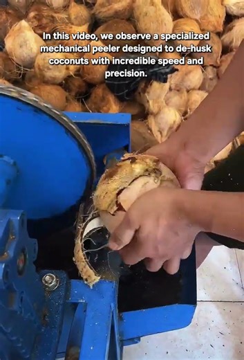 Fast & Efficient Coconut De-husking Machine in Action!