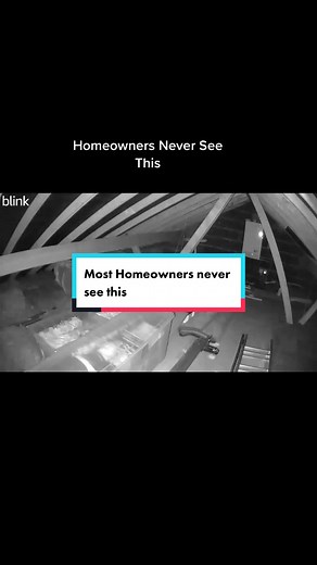 Homeowners never see this, Here we have a rat in the attic, the motion Cameras are in place to help us see the direction the rat is using to access the attic, We have also looked in sewer drains outside and their are breaches that the rats can use to gain access to attic. #pestcontrol #attic #rats #triumphpestcontrol #camera #howtogetridofrats #howtogetridofratinfestation #howtogetridofratsinattic