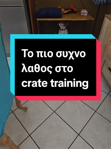 Κ crate training: Ηρεμία και εκπαίδευση κουταβιών