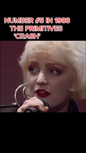 Contact Music on TikTok