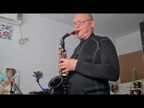 Love to Hate You - Erasure Pomorie Sax version ALTO