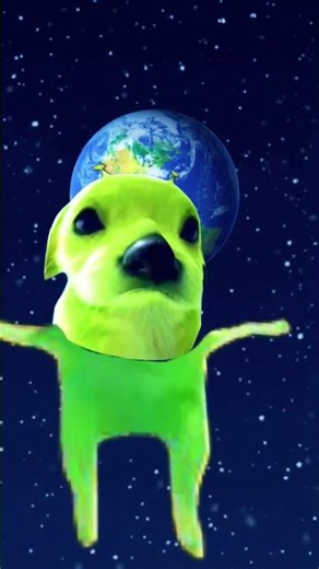 #memes #xd aluen dog 🤣