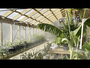 Inside Our $40,000 Greenhouse: A Guided Tour