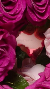 COMING SOON: a NEW ABH Palette packed with a rich, rose-inspired colorstory. 🌹🌹🌹 Primrose Palette 🌹 transforms daydreams into reality as the shades enchant and enliven any look. Check back to find out more as the #ABHPrimrose world unfolds. 🌹Get Early Access - sign up (through the link our bio) to shop it first on AnastasiaBeverlyHills.com 🌹 Primrose Palette launches on 9/22 exclusively on AnastasiaBeverlyHills.com | Anastasia Beverly Hills