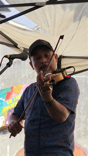 MARTE SANTANA 🎻 del Trío HALCÓN HUASTECO 🇲🇽 en Xilitla ❤️