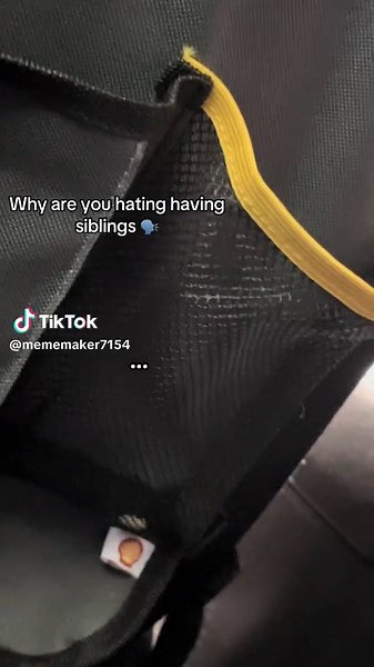 #fyp #viral #sibling #sybau