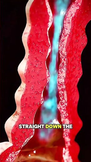 How an Inhaler Works | 3D Medical Animation#Inhaler #AsthmaRelief #3DAnimation #BreathingHealth #Med