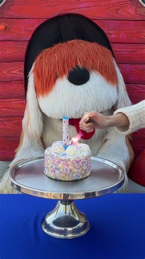 It’s Barkley’s birthday! 🐶🎂