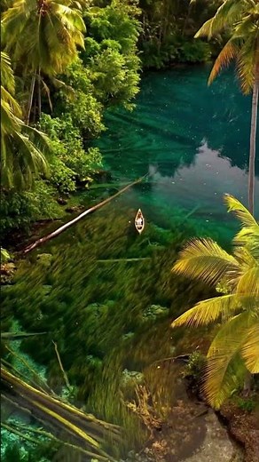 Bali Indonesia 🇮🇩 | Tropical Paradise in 4K