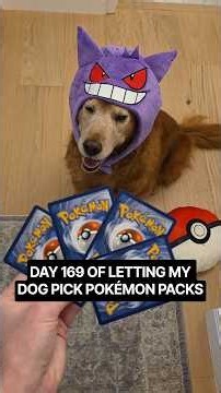 Day 169 Non stop hits from this Pokémon box 🔥 #pokemon #pokemoncards #pokemontcg #dog #gengar