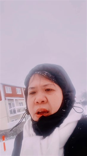 Navigating a Snowstorm as a Blind Parent
