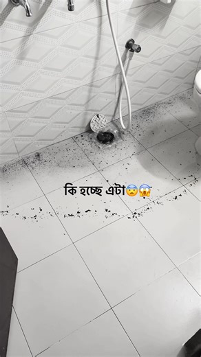 Joynu (@joynob.miajee)’s videos with original sound - ★~Tae's Wifey~★