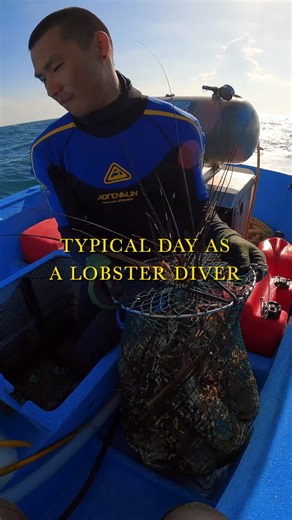491K views · 17K reactions | Commerical Lobster Diving on the GBR 咽 | EJC Adventures | Facebook