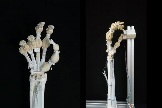 ETH Zurich's Soft Robotics Lab 3D-Prints Robot Hand with Artificial Muscles Using Data from MRI Scans