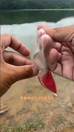 This PVA Bait Bag Catches More Fish! 😱🎣 | Chinese Fishing Secret